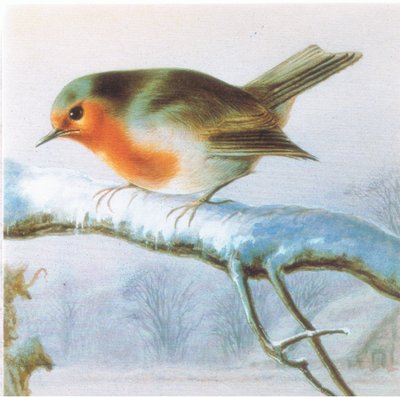 Robin, Colour Christmas Card by Harry Bright